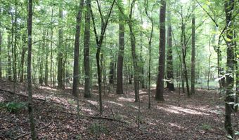 NE Greenhill Trail, Brookhaven, MS 39601