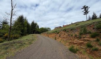 301 UPPER NESTUCCA RIVER Rd, Beaver, OR 97108
