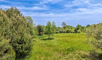 7764 Fillmore St, Allendale, MI 49401