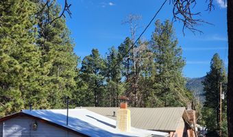 54 1st N St, Alpine, AZ 85920