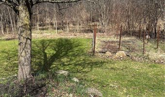 1010 Moneta Ave, Aurora, OH 44202