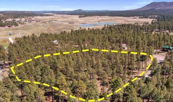County Road 2325, Alpine, AZ 85920