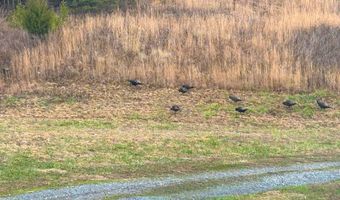 6270 KY 1809, Barbourville, KY 40906