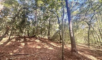 0 Highway 3, Blackville, SC 29817