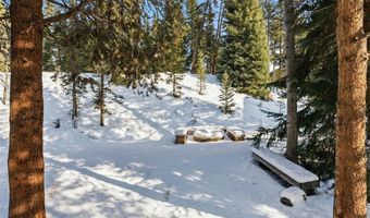 227 MOUNTAIN VIEW Dr, Blue River, CO 80424