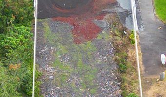 1139 KAUMANA Dr, Hilo, HI 96720