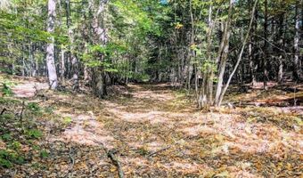 237 Halls Pond Rd, Charlestown, NH 03603