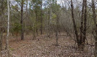 Tbd Pump Station Rd, Ashdown, AR 71822