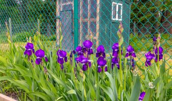 13033 Trinkus Ln, Bigfork, MT 59911