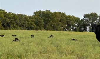 SE 95th Road, Agency, MO 64401