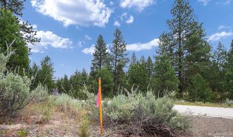 1497 Pine Ridge Dr, Cascade, ID 83611