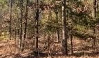 00000 Crow Mountain Dr, Atkins, AR 72823