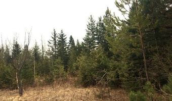 8503 S US-31 Hwy, Alanson, MI 49706