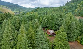 18156 HIGHWAY 36, Blachly, OR 97412