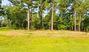 Lot 12 A Mountain View Way 12, Bainbridge, GA 39819