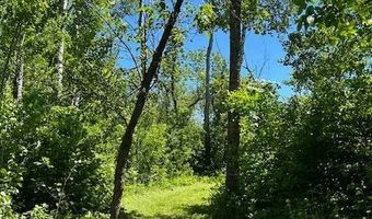 Hartley Shores Road lot 16, Bottineau, ND 58318