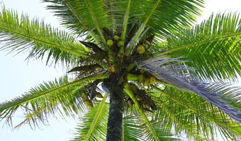 Keanae Rd, Hana, HI 96708