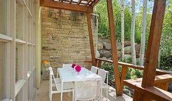 250 Mountain Laurel Dr B, Aspen, CO 81611