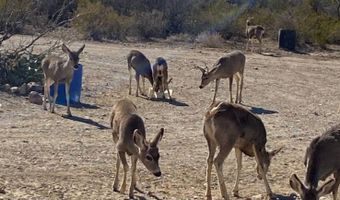 200 Lake Ament Rd, Alpine, TX 79830