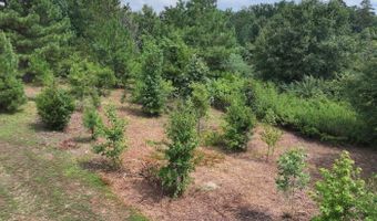 526 EBENEZER Rd, Amity, AR 71921