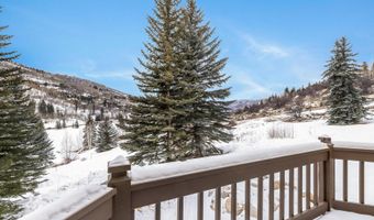 83 Offerson 1, Beaver Creek, CO 81620