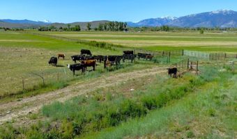 Pinenut Rd, Gardnerville, NV 89410