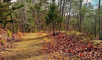 KING Street, Basye, VA 22810