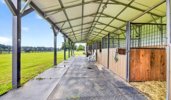 294 Nates Store Rd, Cameron, SC 29030