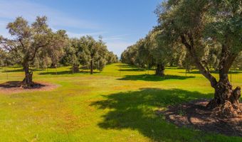 16770 Scout Ave, Anderson, CA 96007