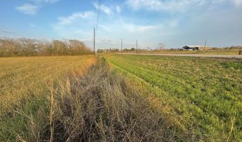 40 Acres County Road 45, Angleton, TX 77515