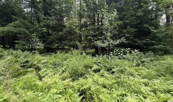 1386 Clif Reynolds Rd, Cambridge, VT 05444