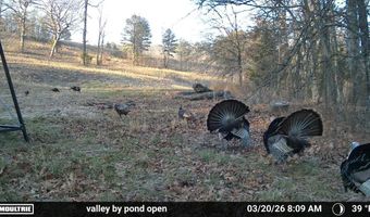 Co Rd 321 Route 5, Ava, MO 65608