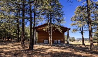 3 County Road N2261, Alpine, AZ 85920