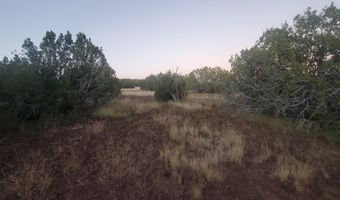 1 COUNTY ROAD N8155, Concho, AZ 85924