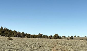 Warner HWY 140 TL 1801, Adel, OR 97620