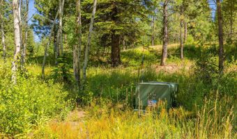 151 Timber Haven Pl, Cascade, ID 83611