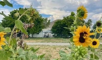 2446 Highway Dr, Arco, ID 83213