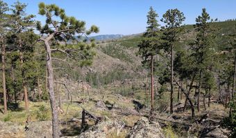 Old Camp Rd, Bellvue, CO 80512
