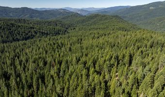 Hungry Ridge, Ashland, OR 97520
