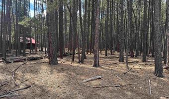 Alamosa Terrace lot 929, Angel Fire, NM 87710