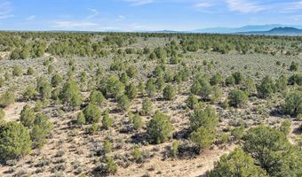 20 Acres Highway 285, Carson, NM 87577