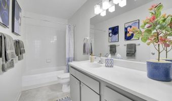 555 Pierce St 842, Albany, CA 94706
