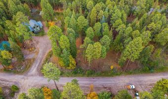 7 2190, Alpine, AZ 85920