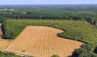 Triple B Lane, Autryville, NC 28318