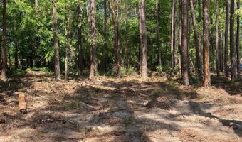 10735 Wilson Blvd, Blythewood, SC 29016