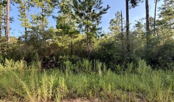 Black Hills Street lot 4, Alford, FL 32420