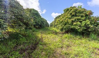 29-605 CHIN CHUCK Rd, Hakalau, HI 96710