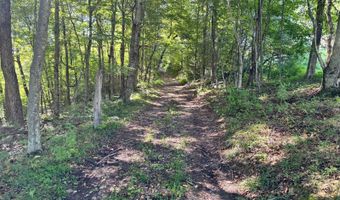 0 Pullim Hollow Rd, Addison, PA 15411