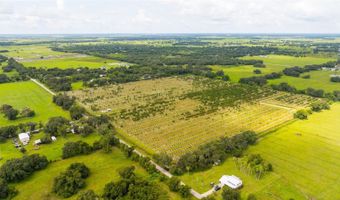 SW CARLTON Avenue, Arcadia, FL 34266
