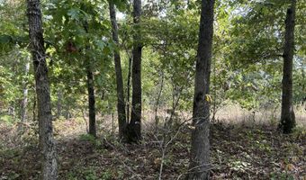 Hc 73 Box 4925 Track 20, Ava, MO 65608